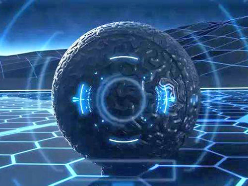 宠贝贝-提供宠物托运,宠物运输等多种宠物服务专业平台简介